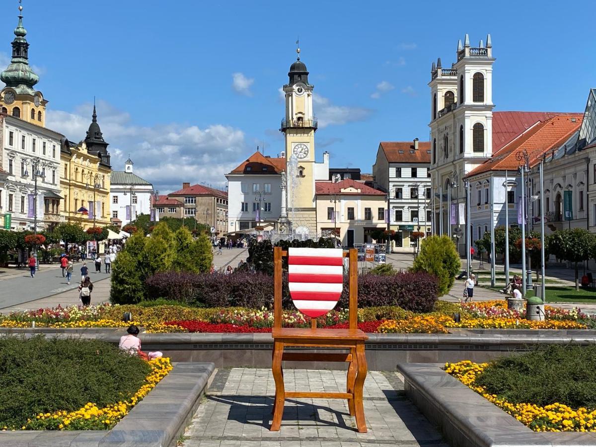 Komfortny Apartman So Zahradou A Sukromnym Parkoviskom-Nonstop Check-In Banská Bystrica Exteriör bild